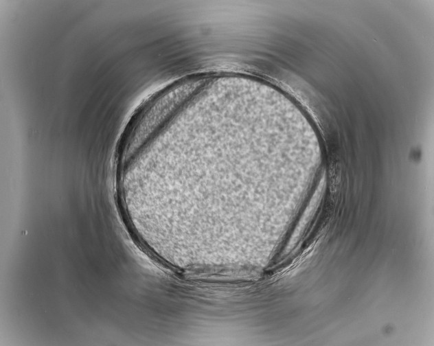 X0000098220987200805221645
