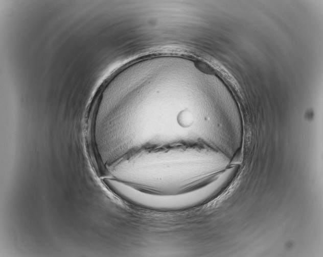 X0000098220989200805221645