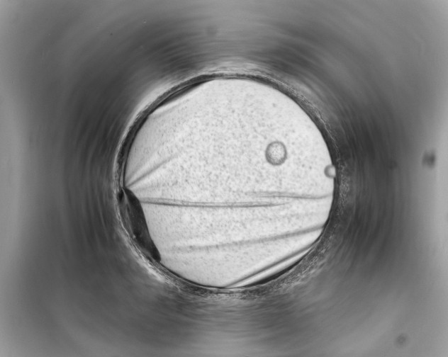 X0000098220990200805221644