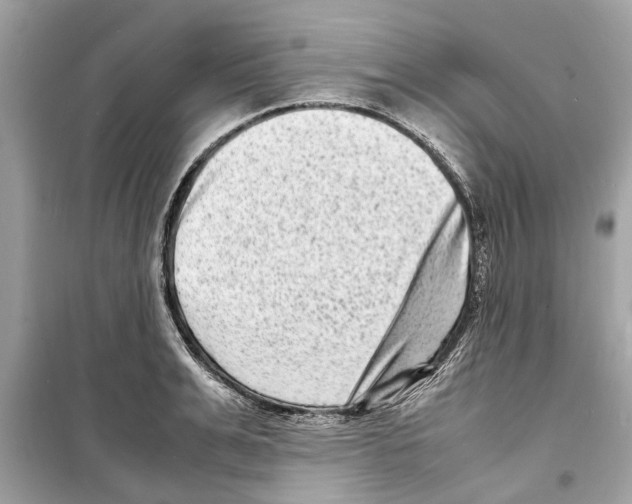 X0000098220991200805221644