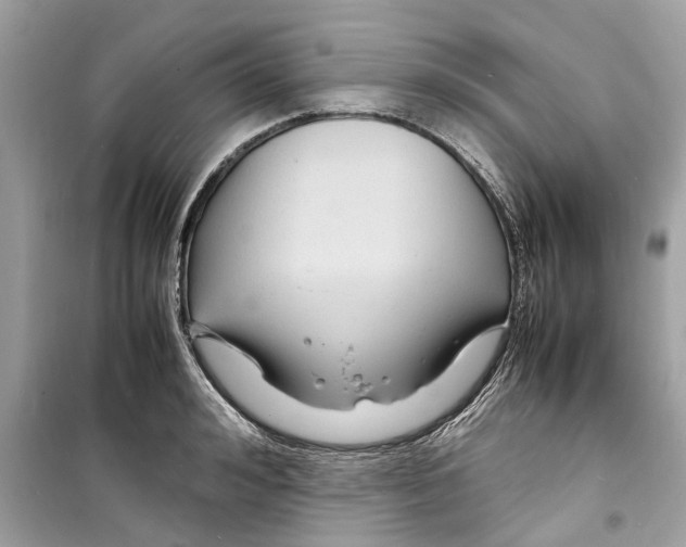 X0000098220992200805221644