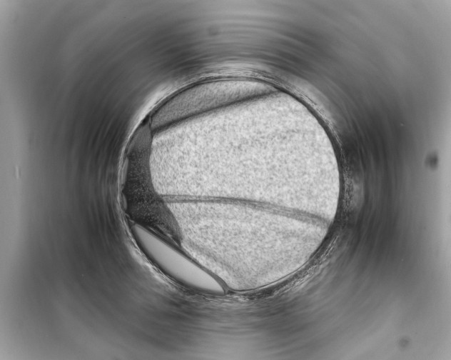 X0000098220994200805221644