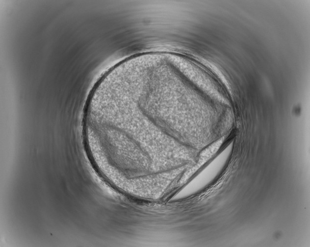 X0000098220995200805221644