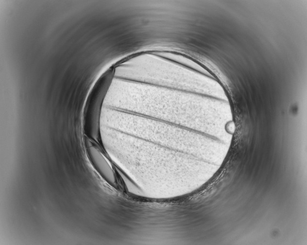 X0000098220996200805221644