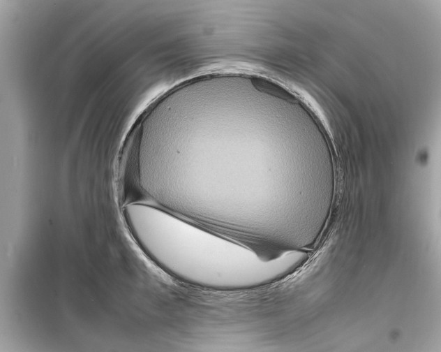 X0000098220997200805221644