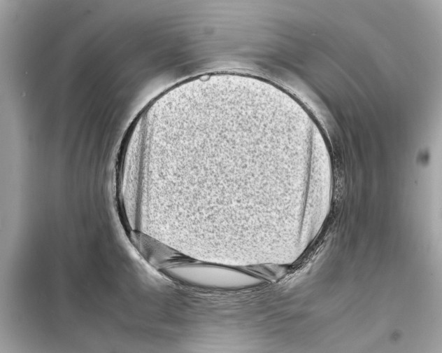 X0000098220999200805221644