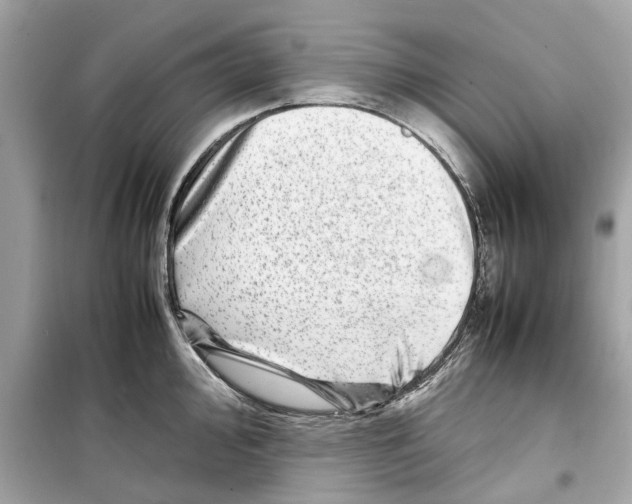 X0000098221000200805221644