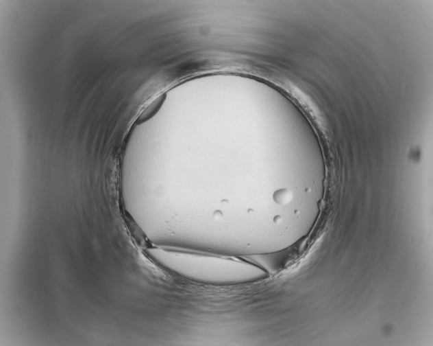 X0000098221001200805221644