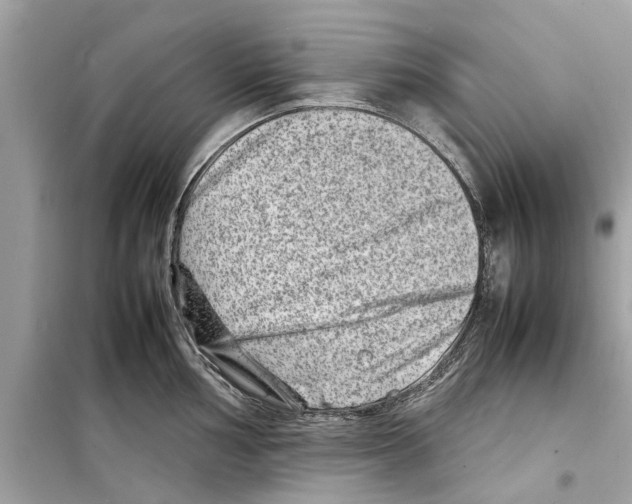 X0000098221002200805221644