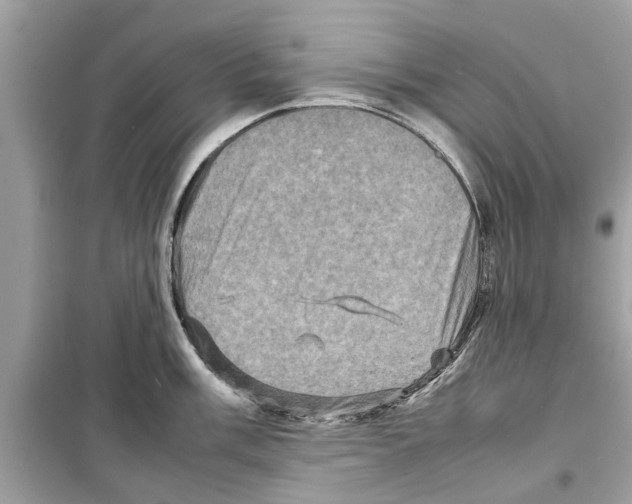 X0000098221003200805221644