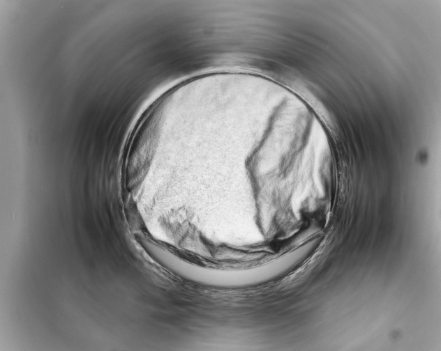 X0000098221004200805221644