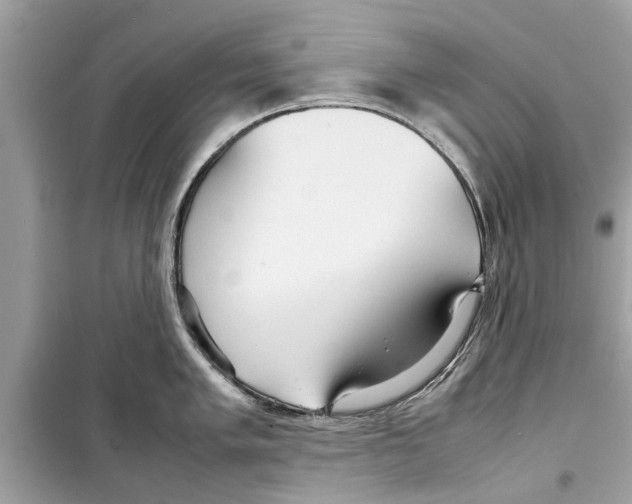 X0000098221005200805221644
