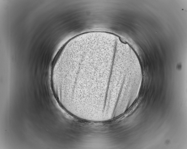 X0000098221006200805221644