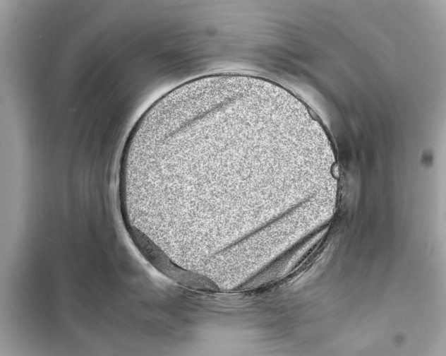 X0000098221007200805221644