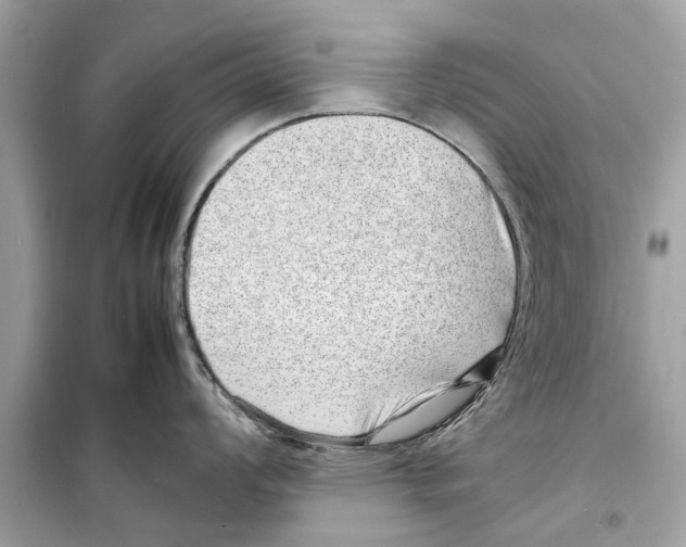 X0000098221008200805221644