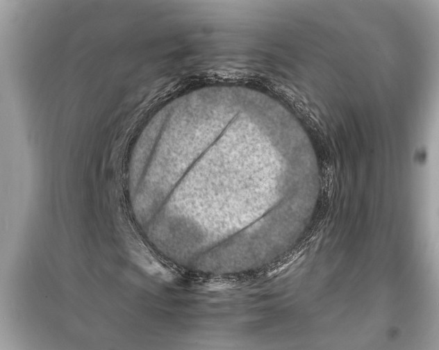 X0000098221009200805221643