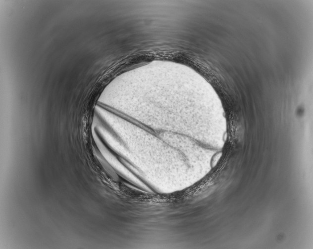X0000098221010200805221643