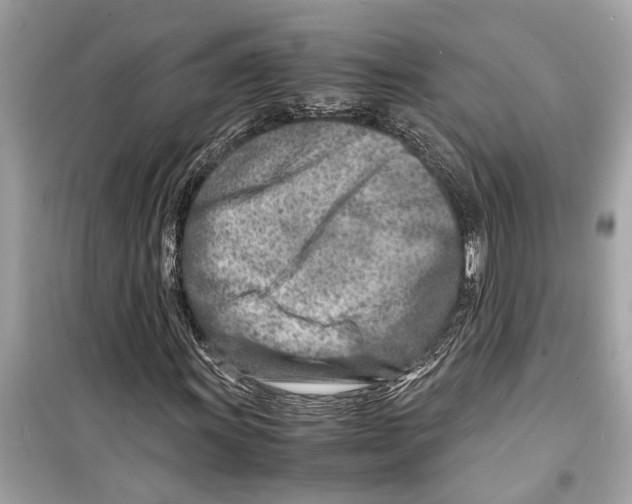 X0000098221011200805221643