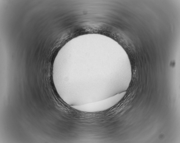 X0000098221012200805221643
