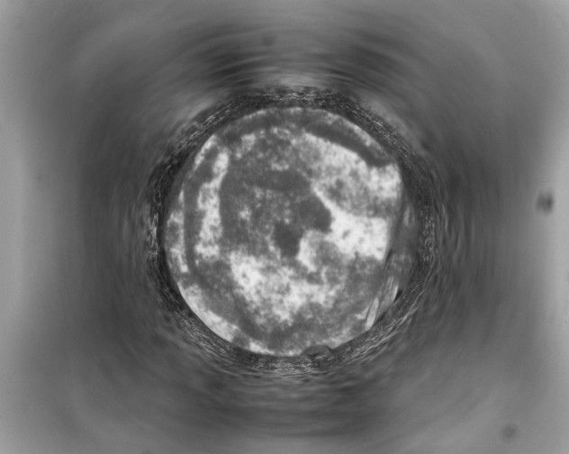 X0000098221013200805221644