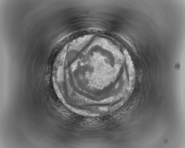X0000098221015200805221644