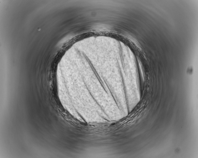 X0000098221016200805221644