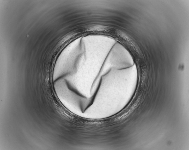 X0000098221017200805221644