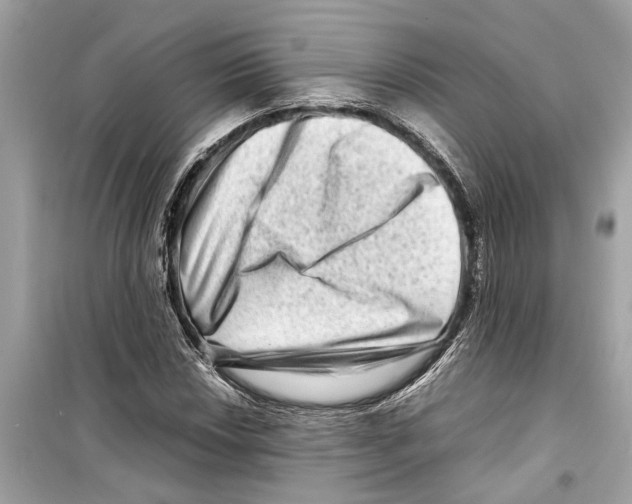 X0000098221018200805221644