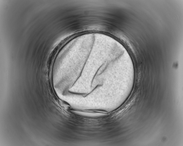 X0000098221019200805221644