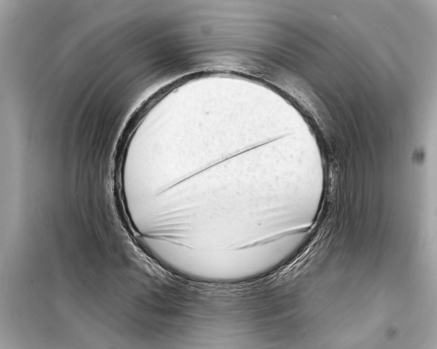 X0000098221020200805221644