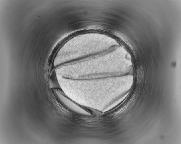 X0000098221021200805221644