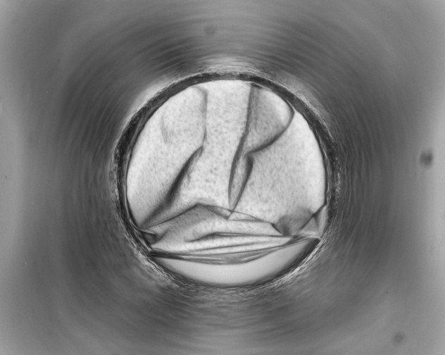 X0000098221022200805221644