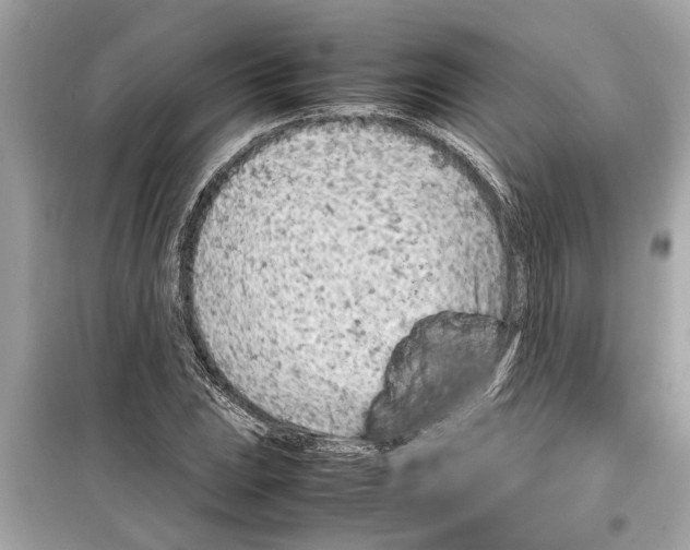 X0000098221023200805221644