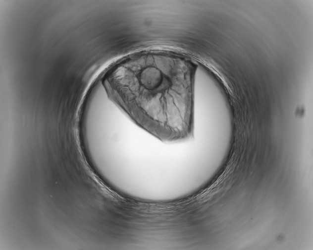 X0000098221024200805221644