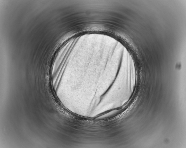 X0000098221025200805221644