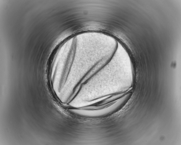 X0000098221026200805221644