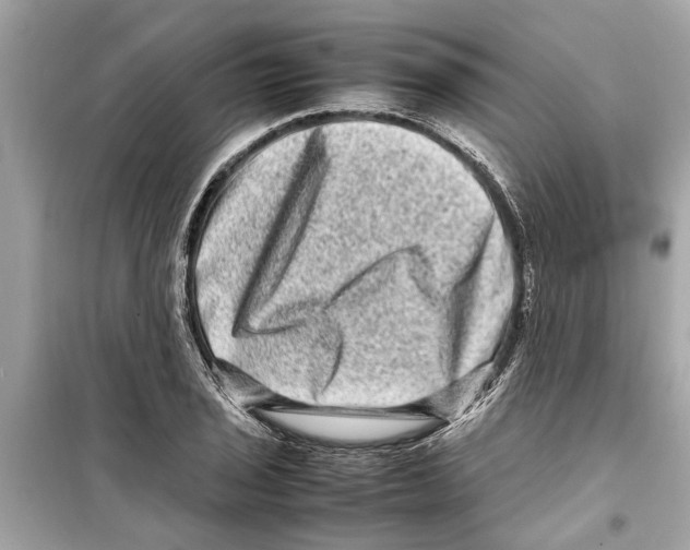 X0000098221029200805221644