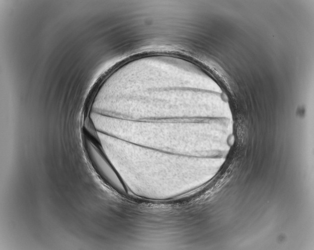 X0000098221030200805221644
