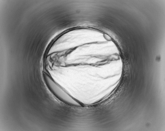 X0000098221032200805221644