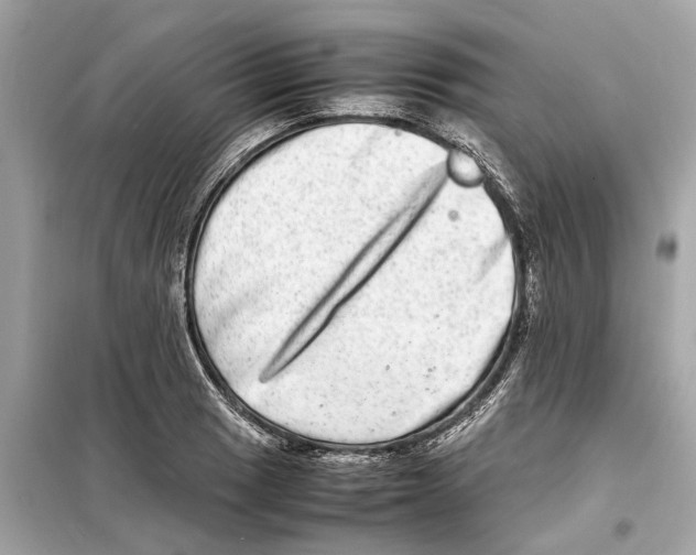 X0000098221033200805221644