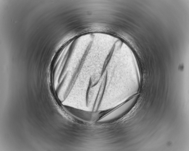 X0000098221034200805221644