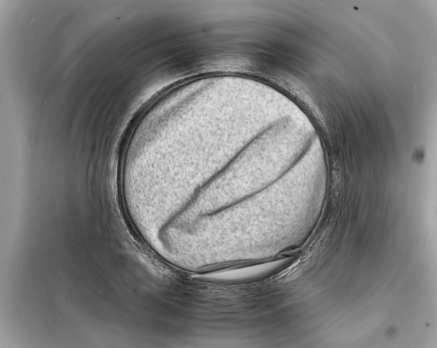 X0000098221035200805221644