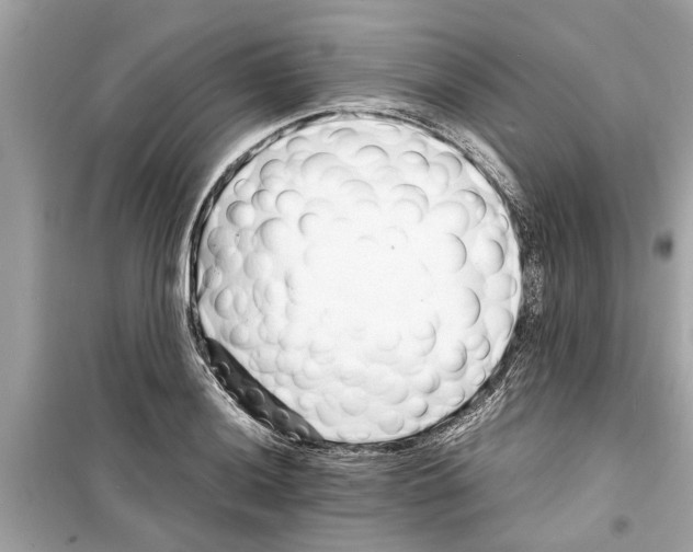 X0000098221036200805221644