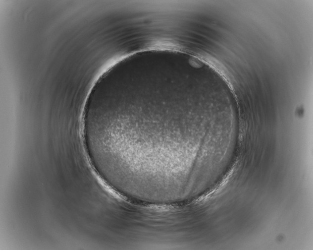 X0000098221037200805221644