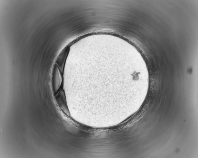 X0000098221038200805221644