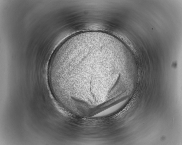 X0000098221039200805221644