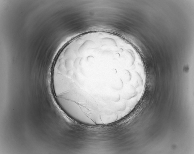 X0000098221040200805221644