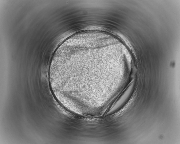 X0000098221041200805221644