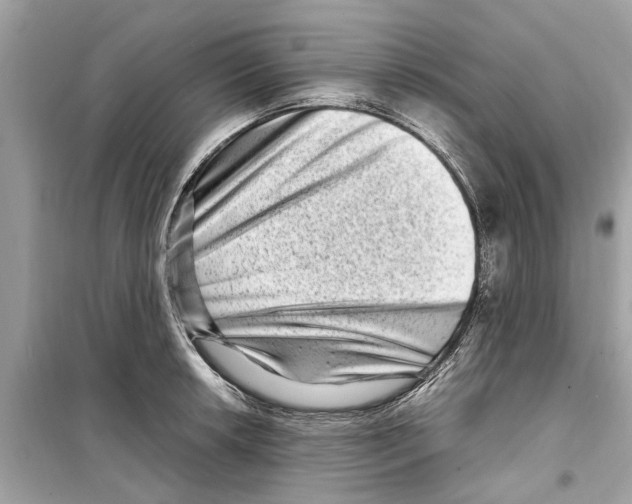 X0000098221042200805221644