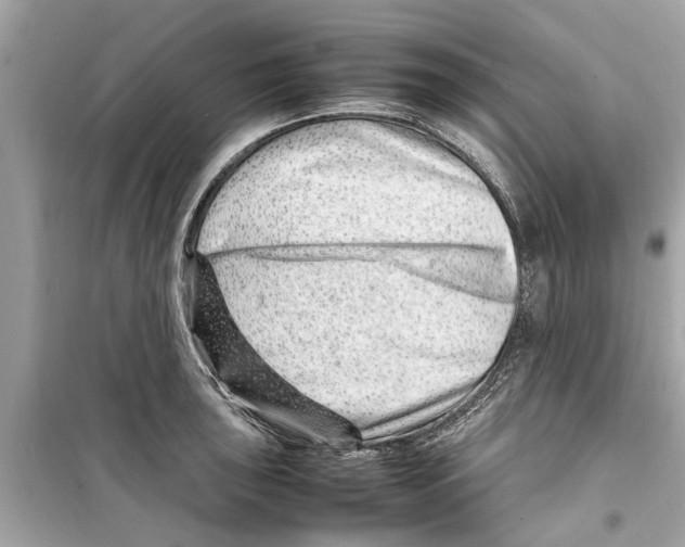 X0000098221043200805221644